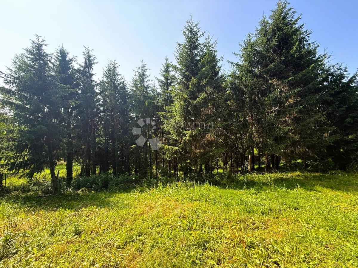 Casa Varaždin Breg, Gornji Kneginec, 164m2