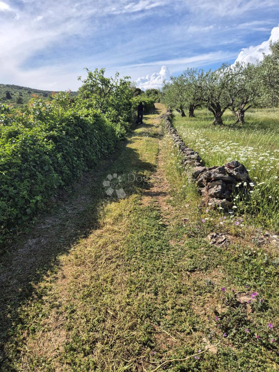 Terreno Vodice, 686m2