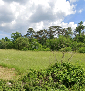 Terreno edificabile Žminj