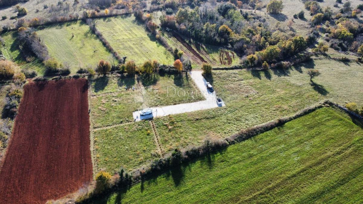 Terreno edificabile Žminj