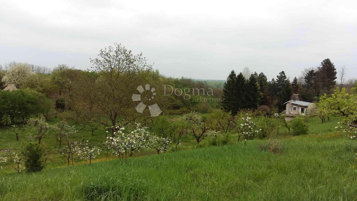 Casa Zmajevac, Kneževi Vinogradi, 150m2