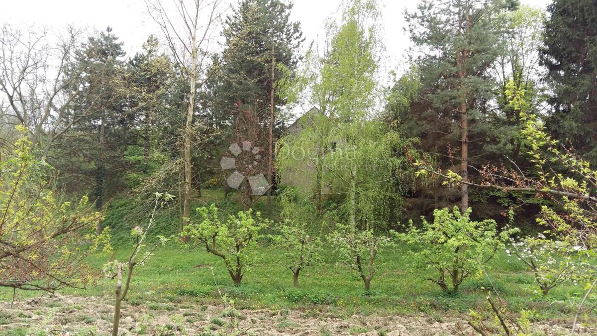 Casa Zmajevac, Kneževi Vinogradi, 150m2