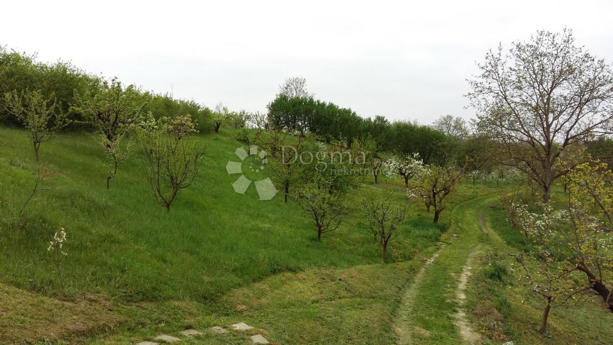 Casa Zmajevac, Kneževi Vinogradi, 150m2