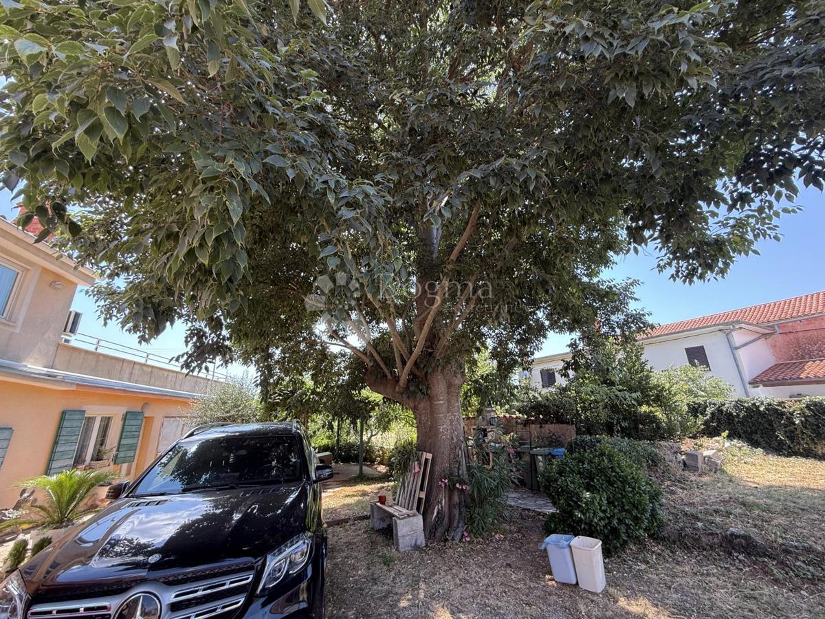 Allogio Hreljići, Marčana, 316m2