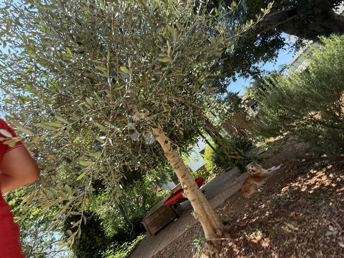 Allogio Hreljići, Marčana, 316m2