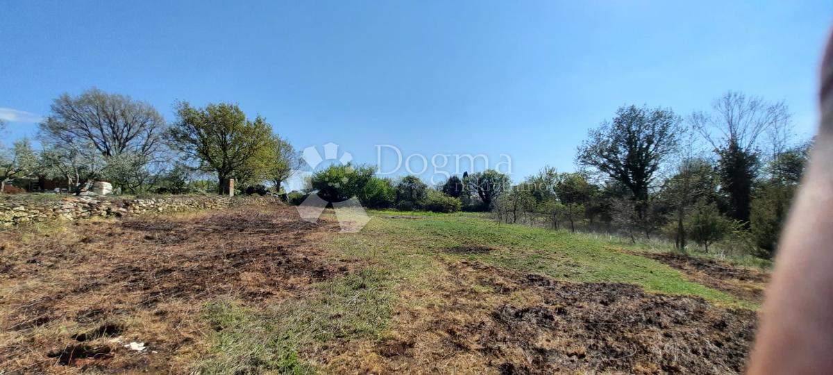 Terreno Vodnjan, 5.053m2