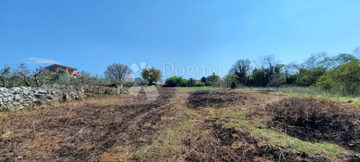 Terreno Vodnjan, 5.053m2