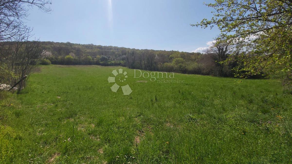 Terreno agricolo Šumber, Sveta Nedelja, 3.478m2