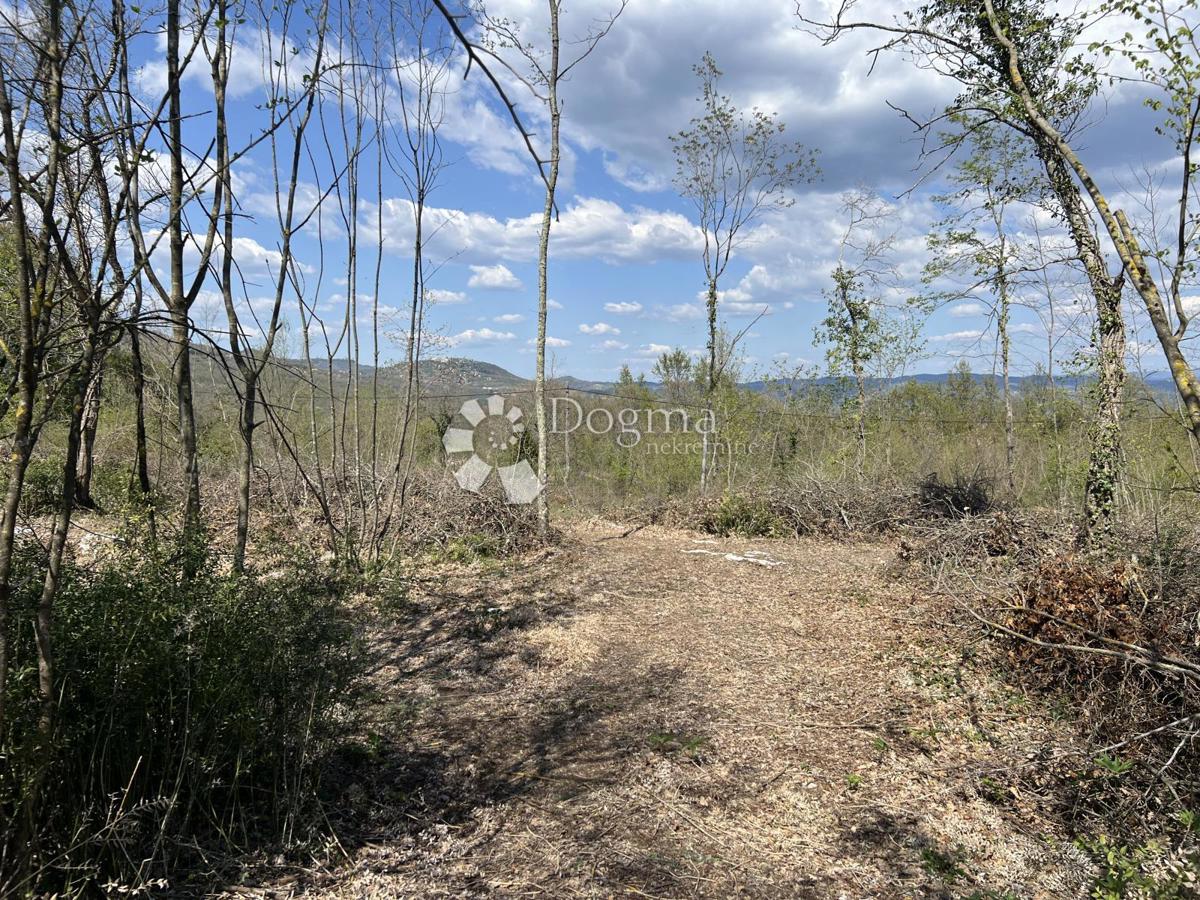 Terreno agricolo Šumber, Sveta Nedelja, 3.478m2