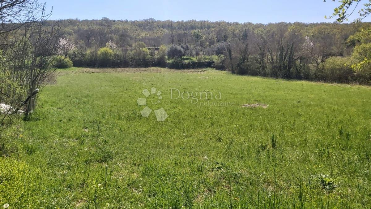 Terreno agricolo Šumber, Sveta Nedelja, 3.478m2