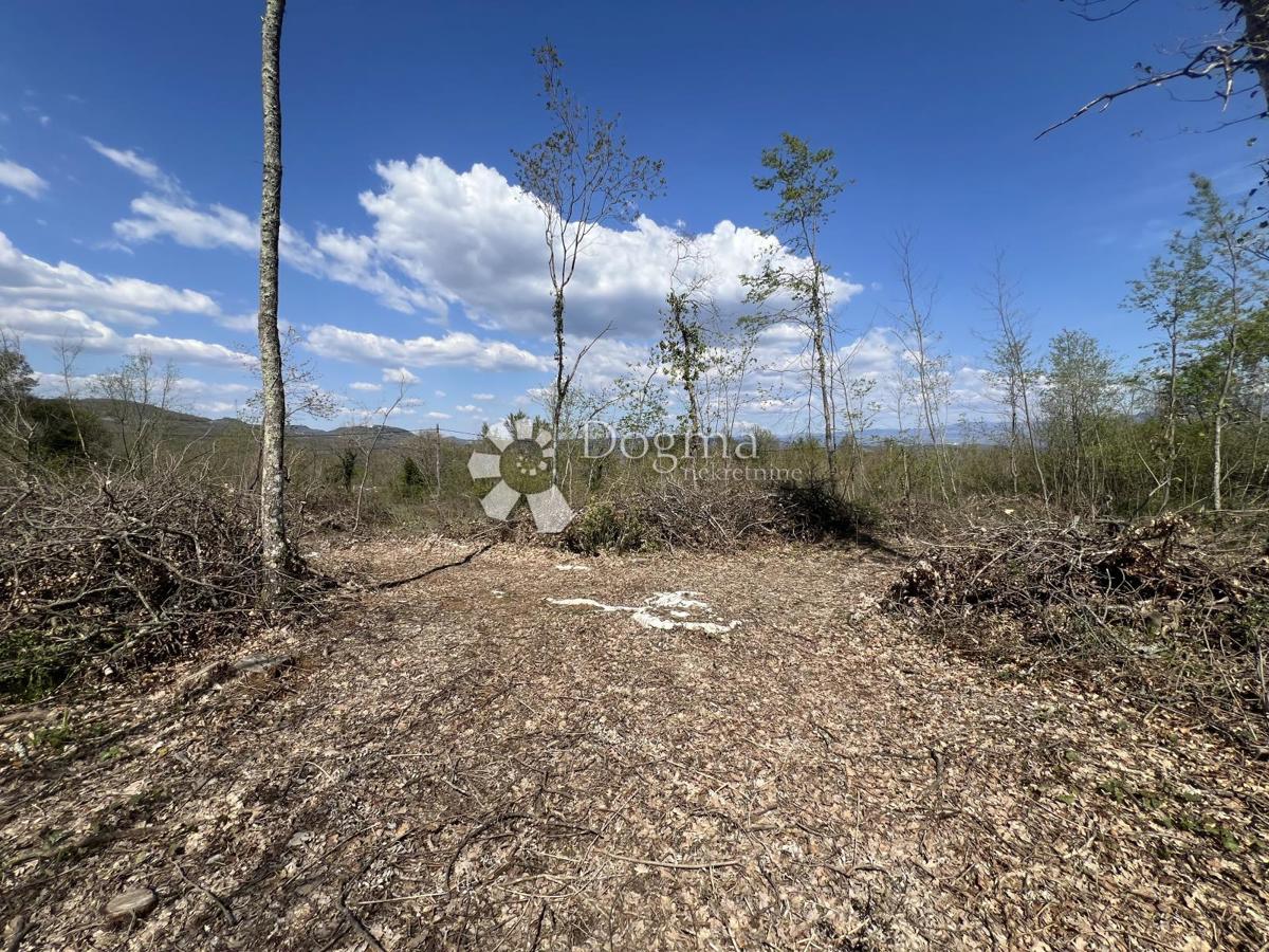 Terreno agricolo Šumber, Sveta Nedelja, 3.478m2