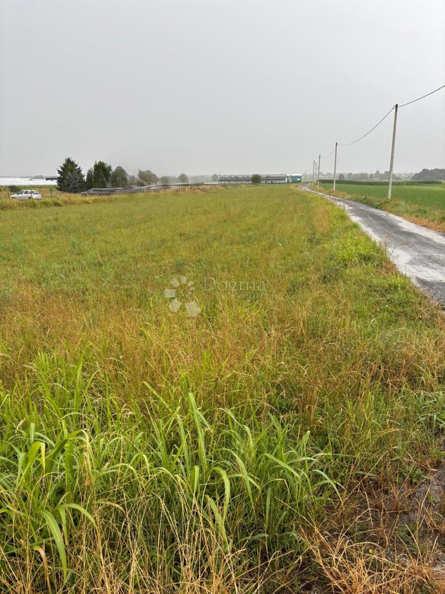 Terreno edificabile Sveti Ilija, 5.216m2