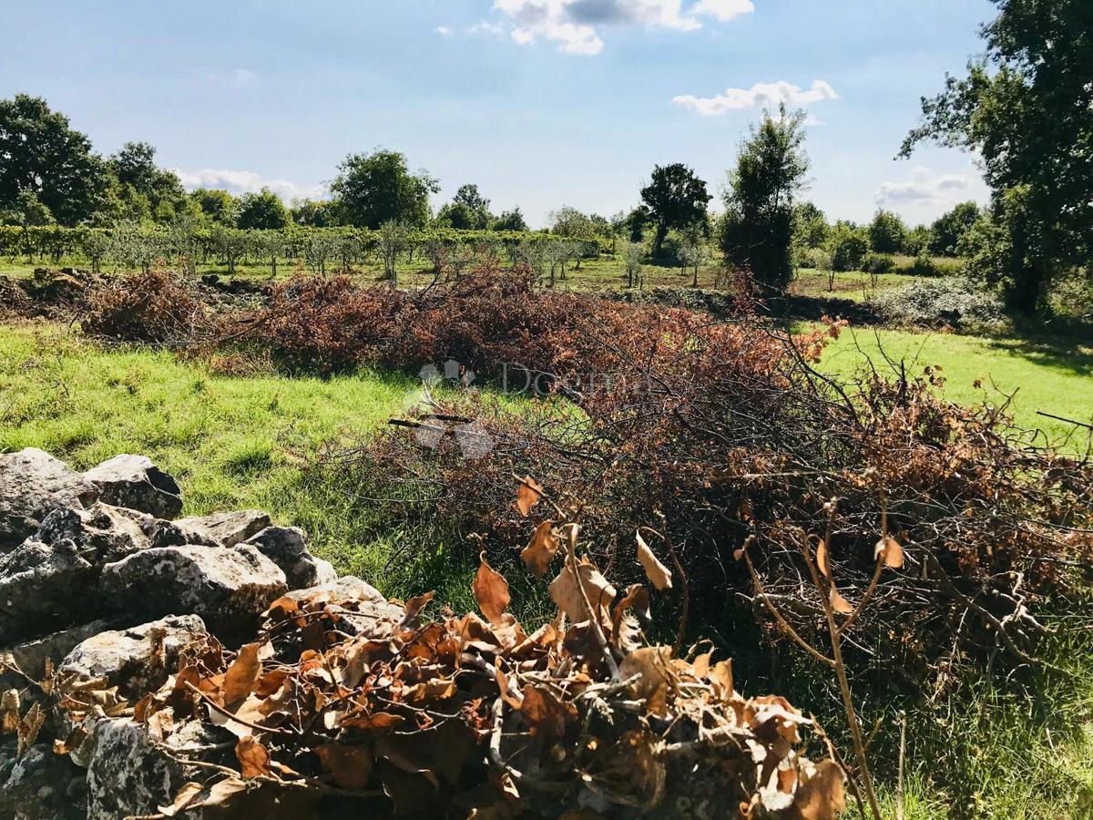 Terreno edificabile Cere, Žminj, 621m2