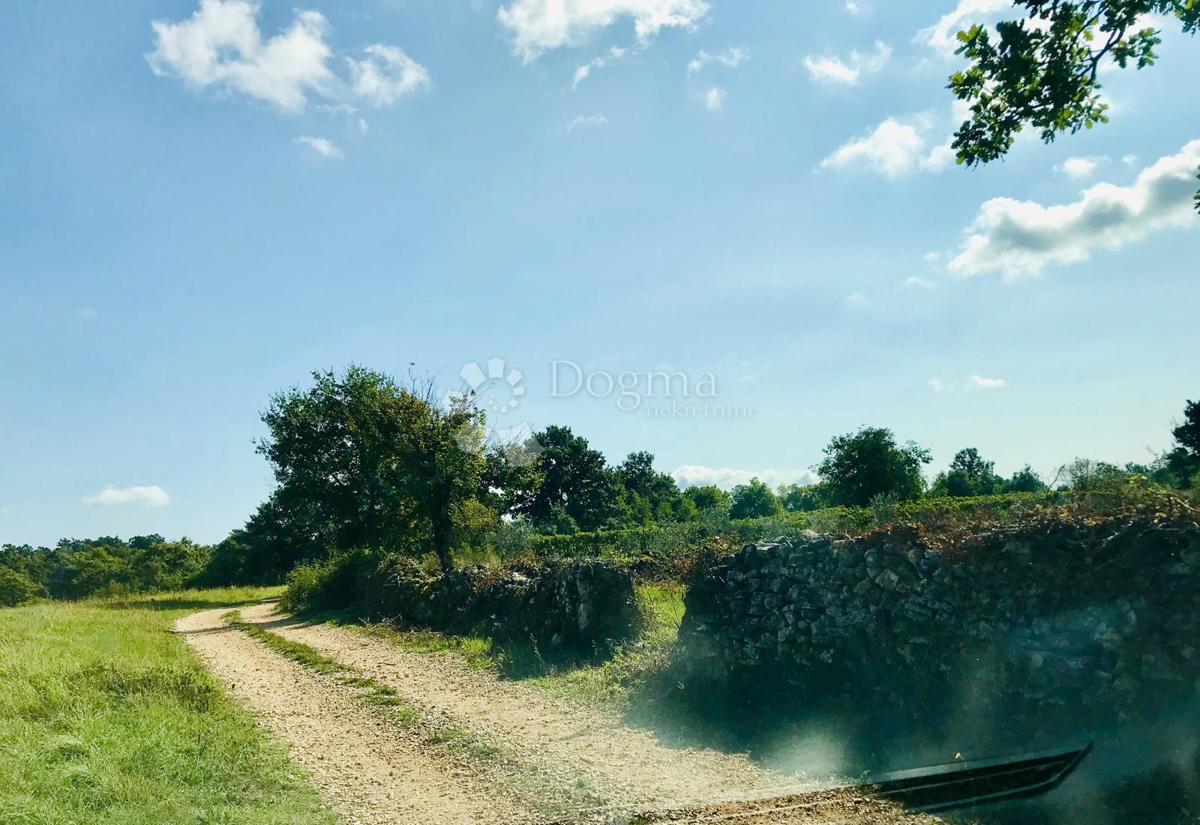 Terreno edificabile Cere, Žminj, 621m2