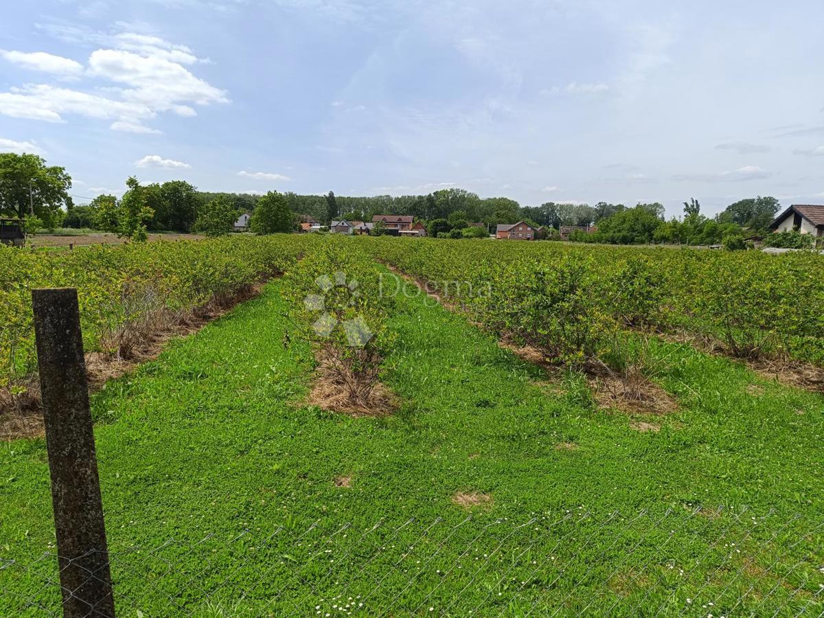 Terreno edificabile Paruževina, Sesvete, 2.377m2