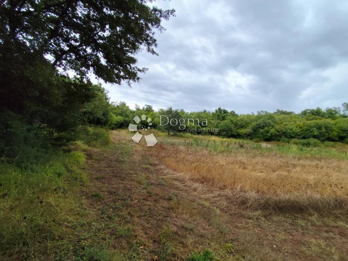 Terreno agricolo Vodnjan