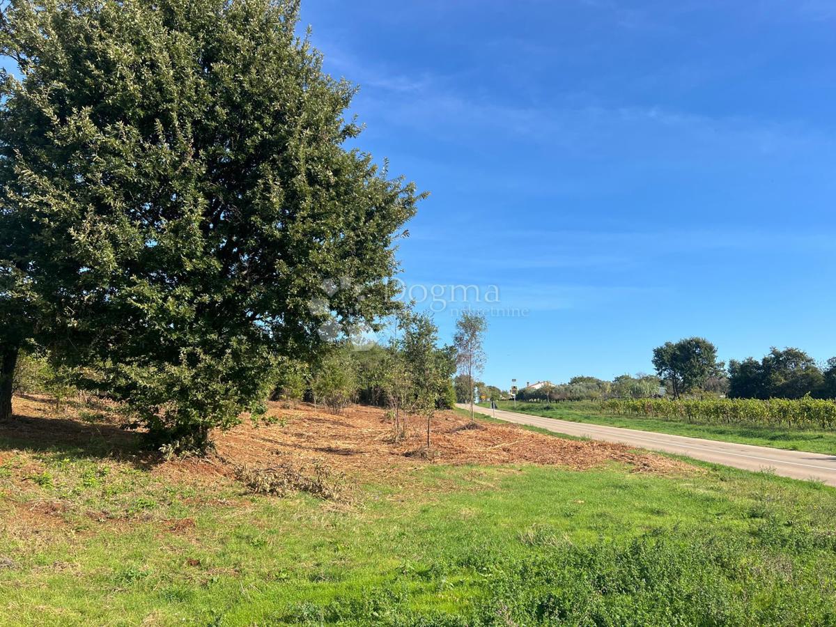 Terreno edificabile Barban, 544m2