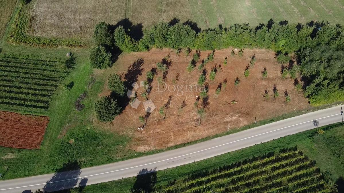 Terreno edificabile Barban, 544m2