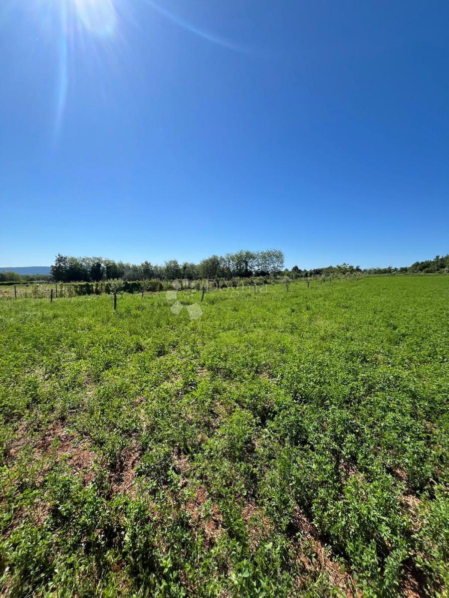 Terreno edificabile Barban, 2.998m2