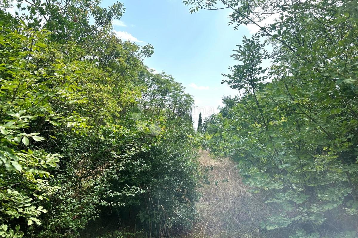 Terreno edificabile Rovinj, 4.091m2