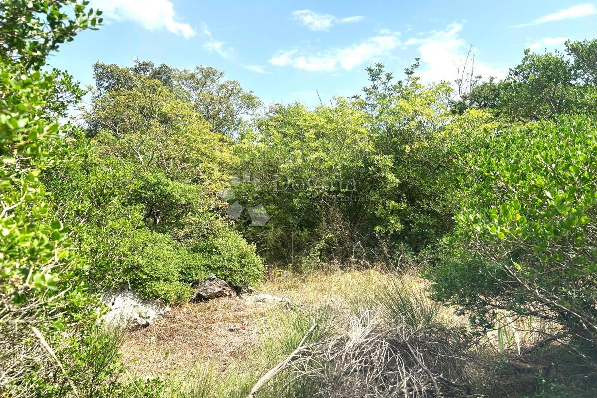 Terreno edificabile Rovinj, 4.091m2