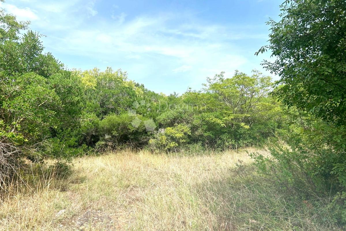 Terreno edificabile Rovinj, 4.091m2