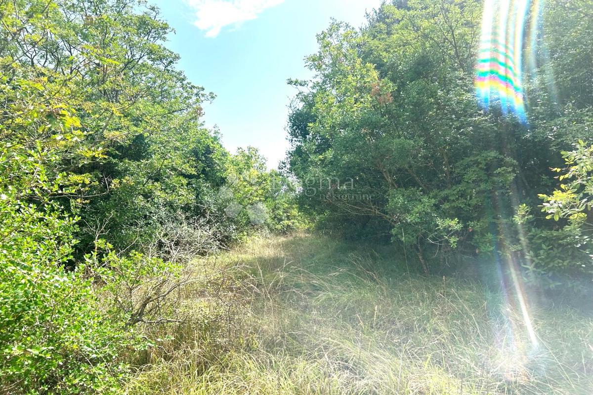 Terreno edificabile Rovinj, 4.091m2