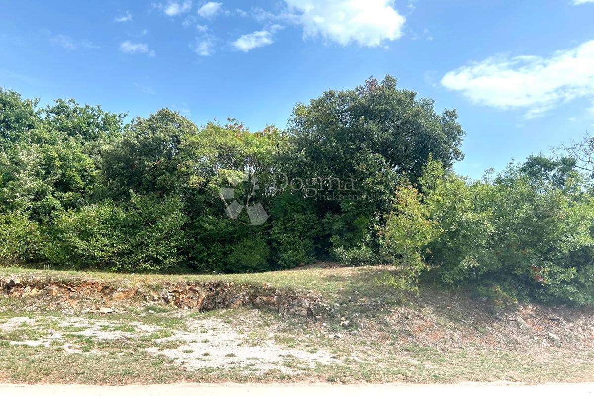 Terreno edificabile Rovinj, 4.091m2