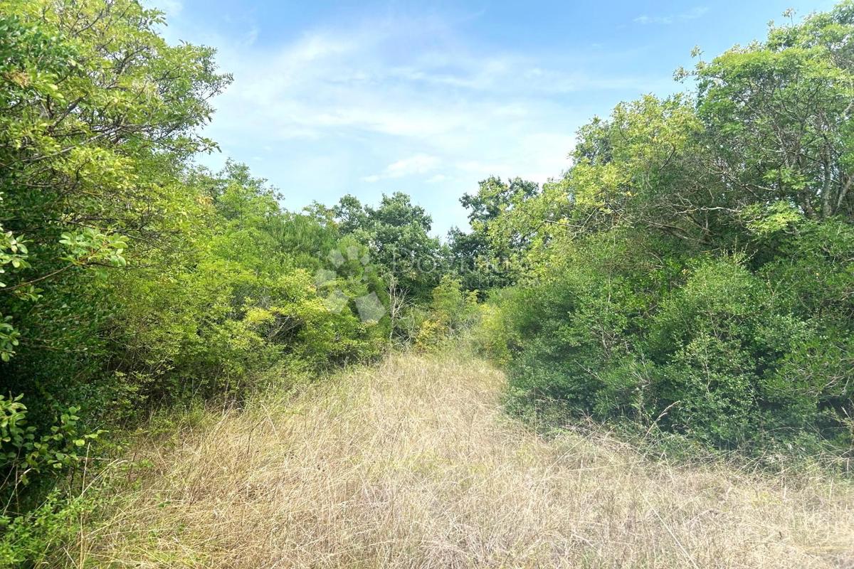 Terreno edificabile Rovinj, 4.091m2