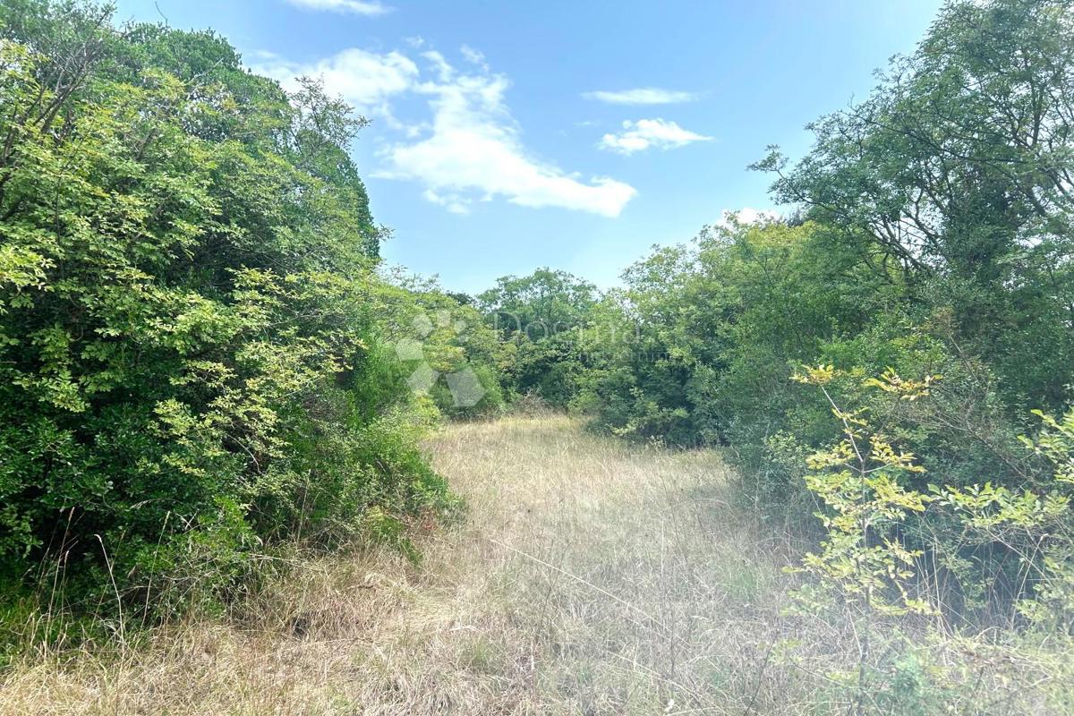 Terreno edificabile Rovinj, 4.091m2