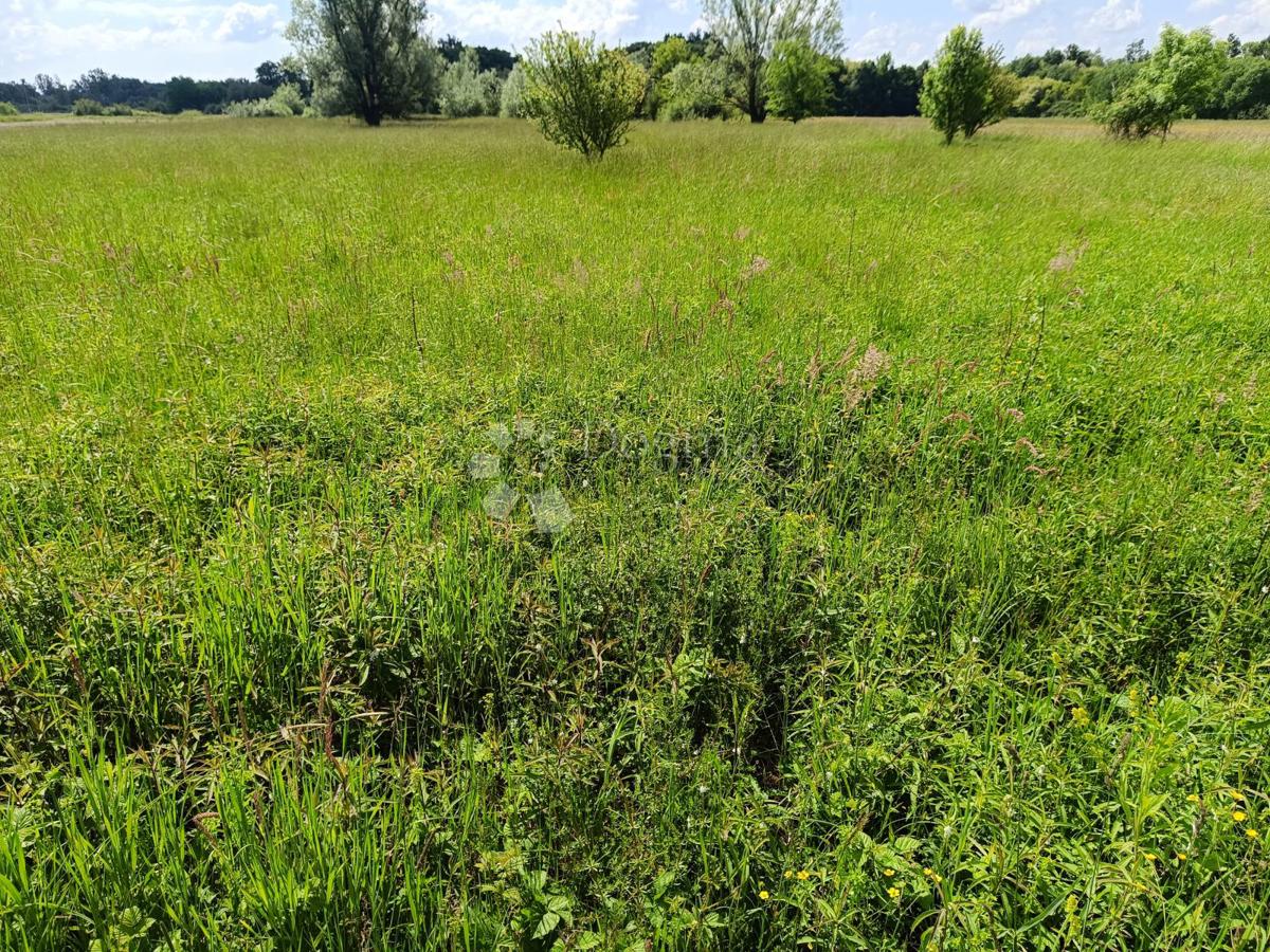 Terreno edificabile Novaki Motovunski, Karojba, 1.865m2