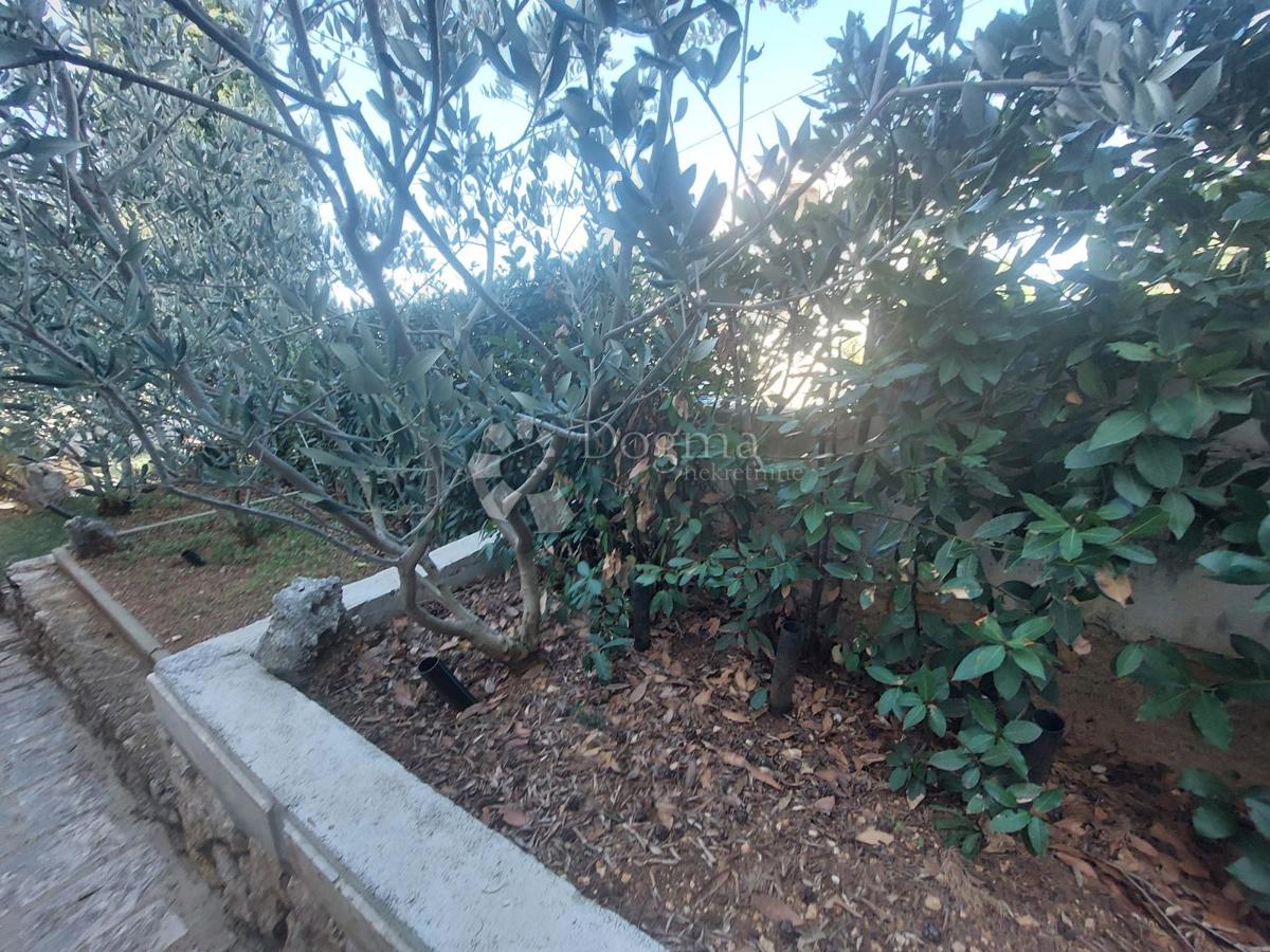 Casa Maslenica, Jasenice, 92m2