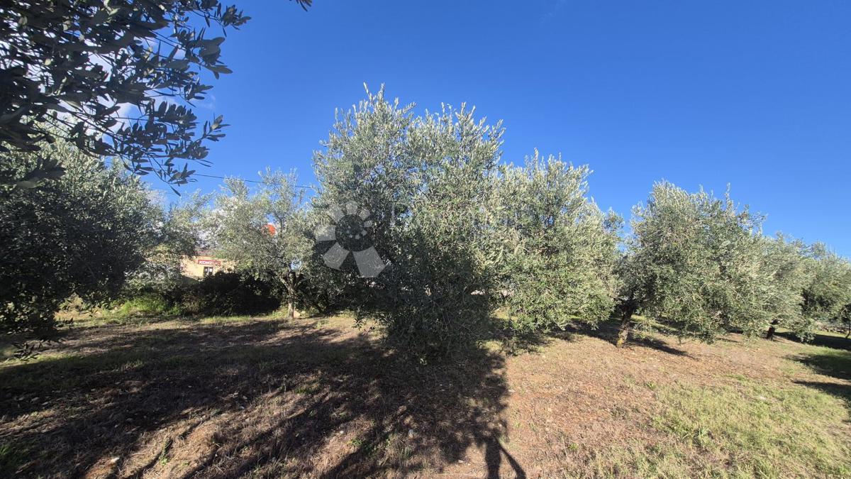 Terreno edificabile Peruški, Marčana, 493m2