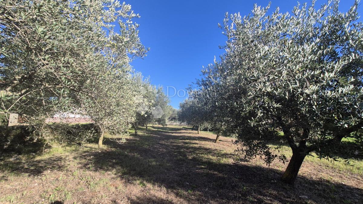 Terreno edificabile Peruški, Marčana, 493m2