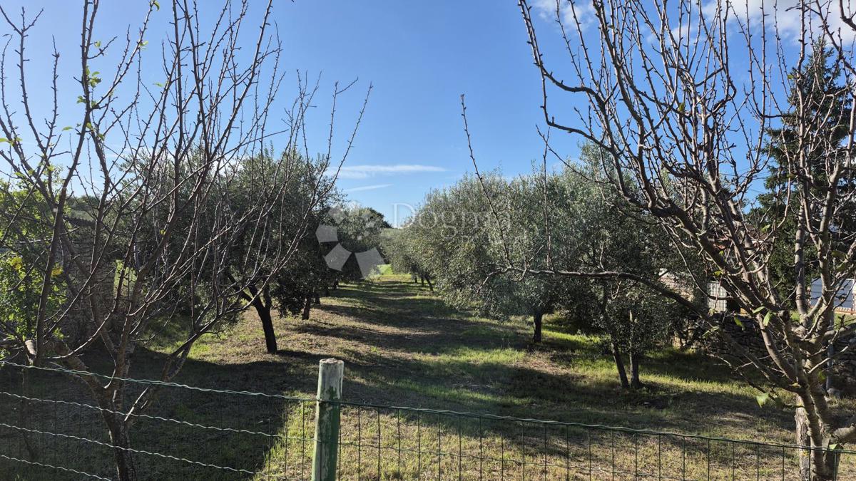 Terreno edificabile Peruški, Marčana, 493m2
