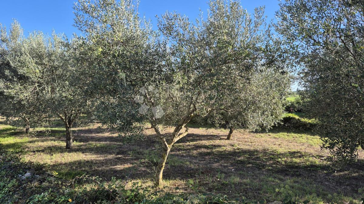 Terreno edificabile Peruški, Marčana, 493m2