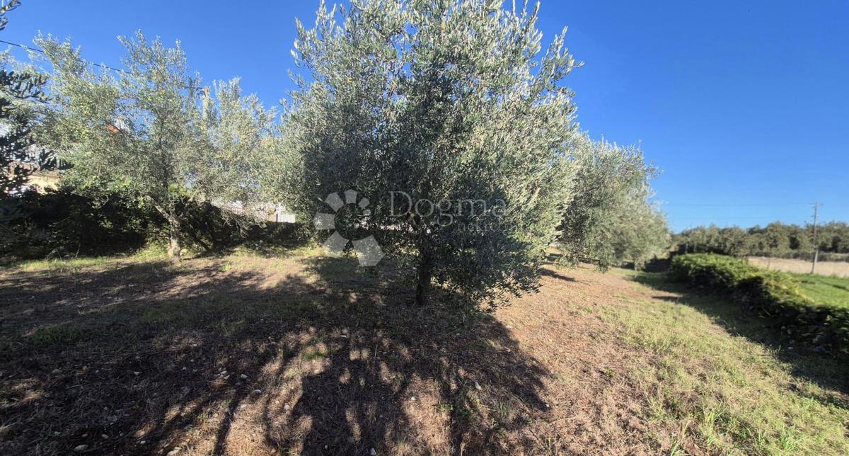 Terreno edificabile Peruški, Marčana, 493m2