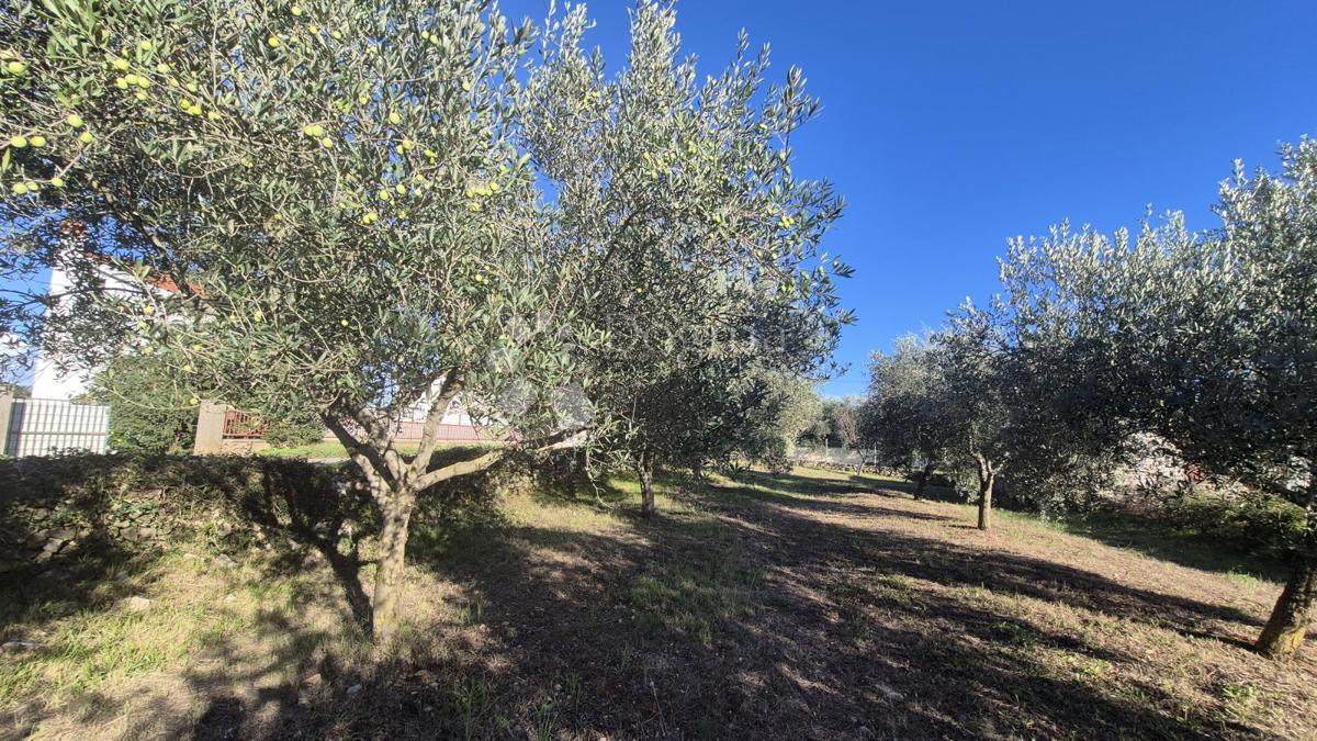 Terreno edificabile Peruški, Marčana, 493m2