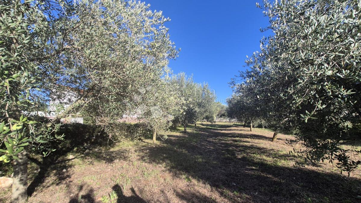 Terreno edificabile Peruški, Marčana, 493m2