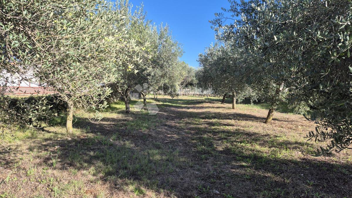 Terreno edificabile Peruški, Marčana, 493m2