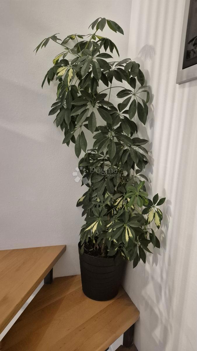 Appartamento duplex di 91,05 m2 a Bale