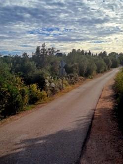 Terreno edificabile Ugljan, Preko, 541m2