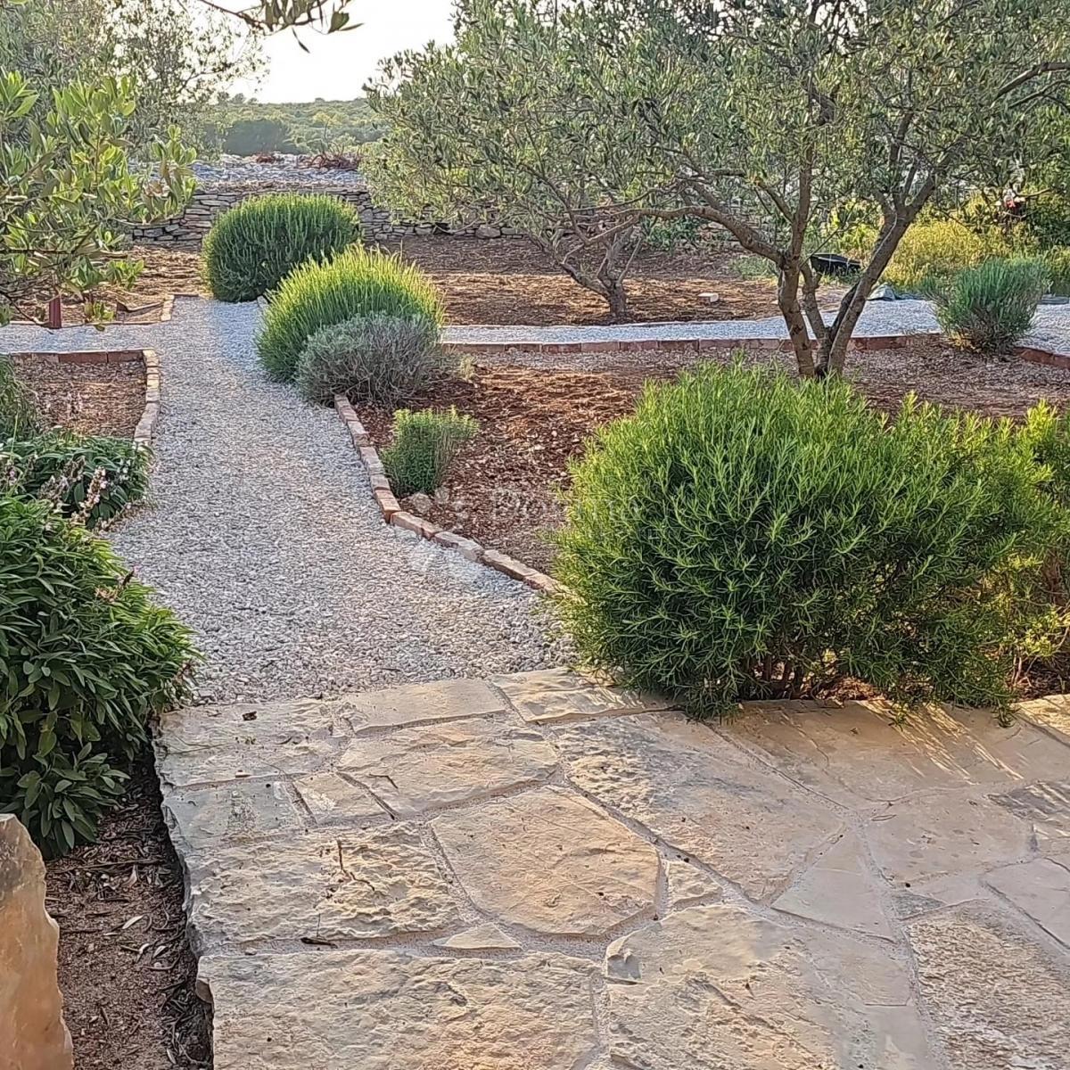 Oasi di pietra a Solta