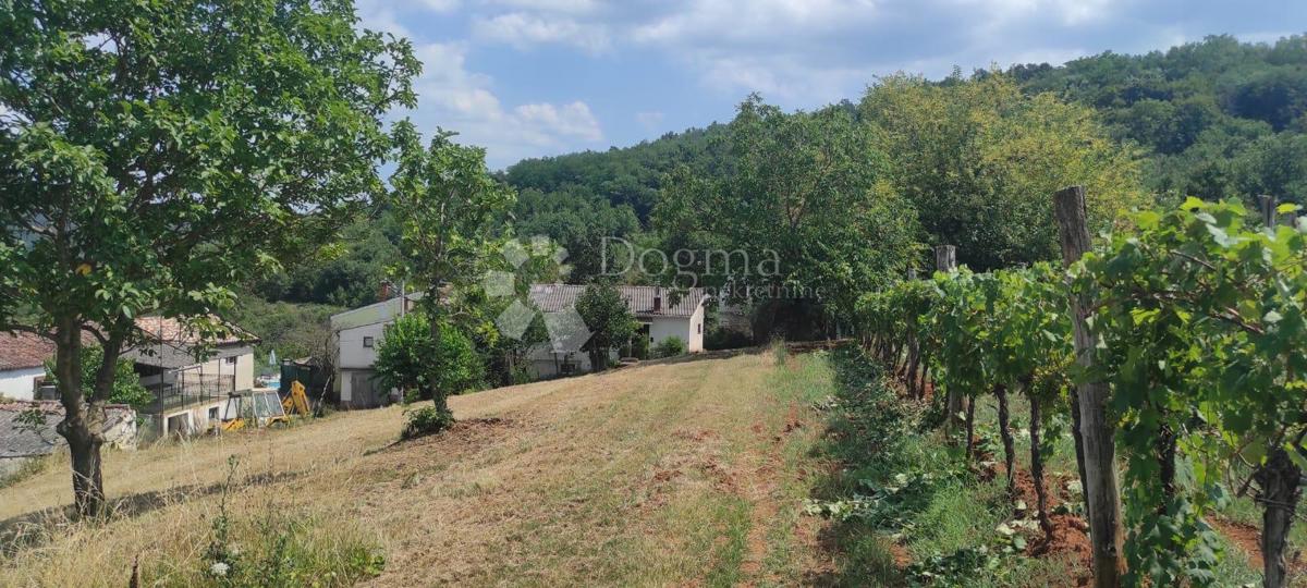 Casa Rakotule, Karojba, 170m2