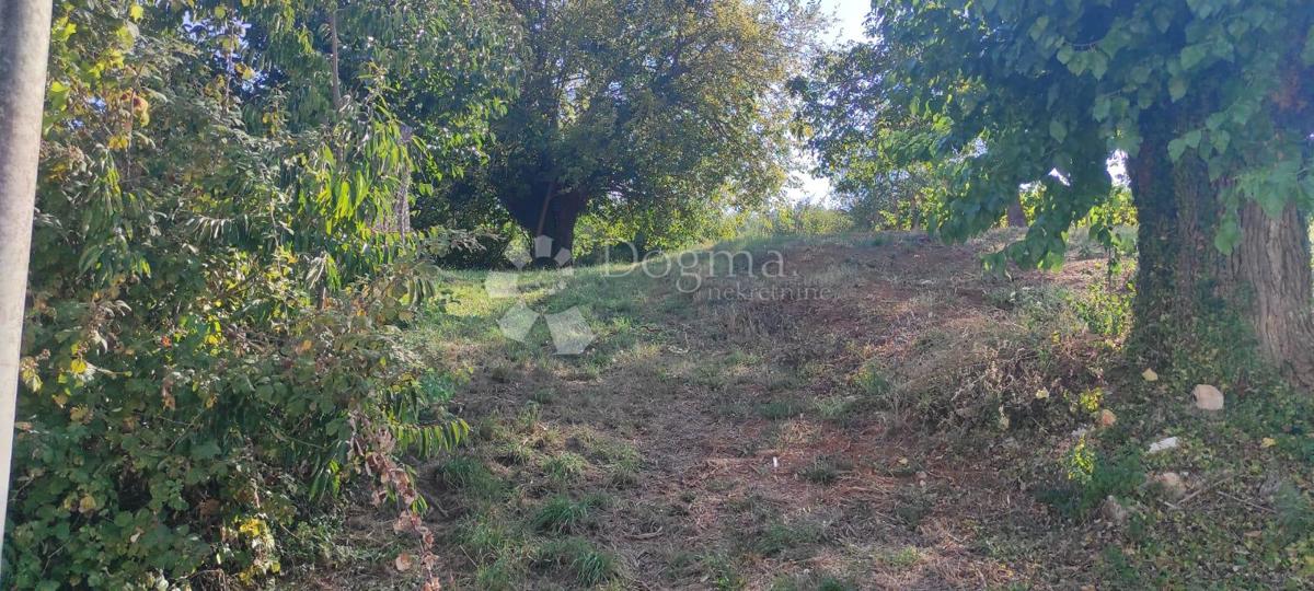 Casa Rakotule, Karojba, 170m2