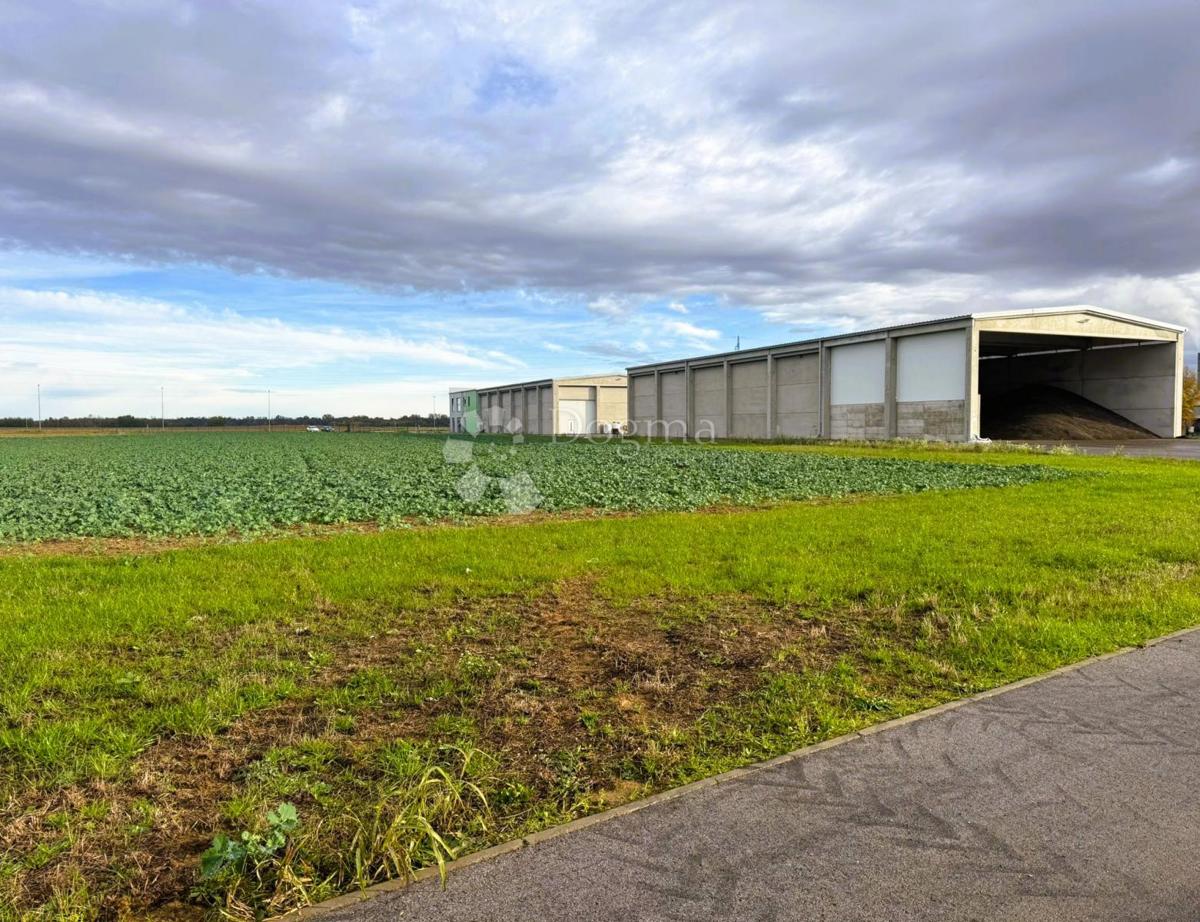 Locale commerciale Koprivnički Ivanec, 31.199m2