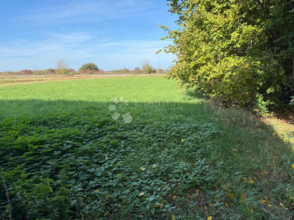 Terreno edificabile Donji Kućan, Varaždin - Okolica, 4.372m2