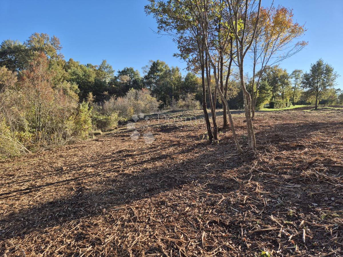 Terreno edificabile Barban, 9.700m2