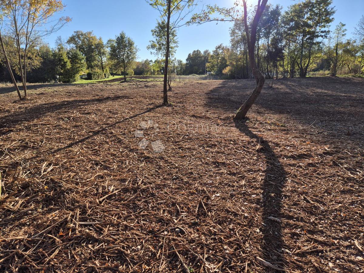 Terreno edificabile Barban, 9.700m2