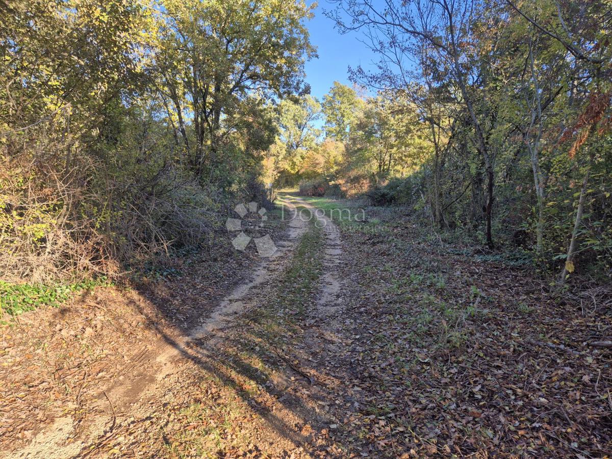 Terreno edificabile Barban, 9.700m2